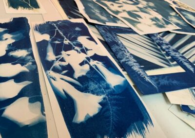 Cyanotype in the Garden with Studio Artist Beth Elliott